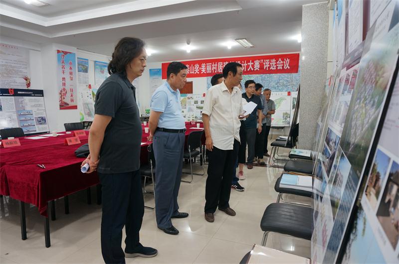 美麗村居設(shè)計大賽風云起 八仙過海顯神通(圖6)