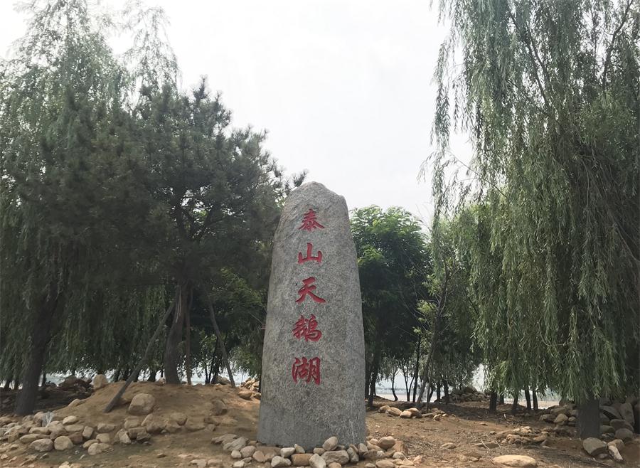 天鵝湖風(fēng)景區(qū)（泰山）速覽！(圖12)
