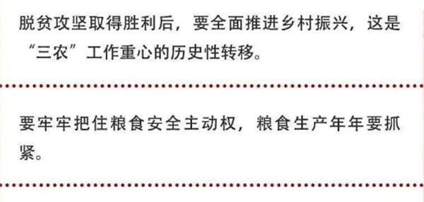 2020年中央農(nóng)村工作會(huì)議精神速覽！(圖2)